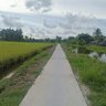 Không Tên profil fotoğrafı