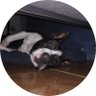 apustodia's profile picture