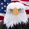 Profilbild von American🇺🇸