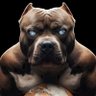 Round Hound profil fotoğrafı