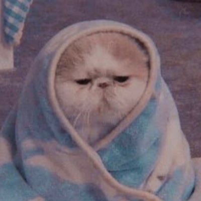zahraaa's profile picture