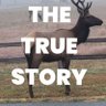 The True Story profil fotoğrafı