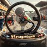 SavageViewer's profile picture