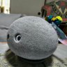 Profilbild von すしバー（SUSIBAR)