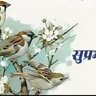 Aajadsingh's profile picture