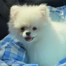 るりまま's profile picture
