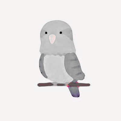 satocco's profile picture