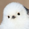 Profilbild von ななお