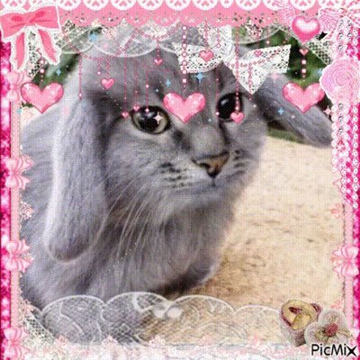 bananakity's profile picture