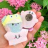 chiyo🐨🐿🐱 profil fotoğrafı