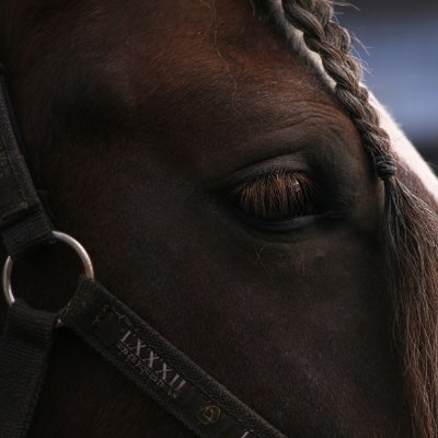 George's profile picture