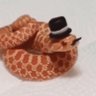slither's profile picture