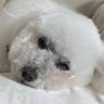 リョウ 的头像