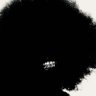 Sinai's profile picture