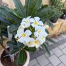 Фото профиля litro