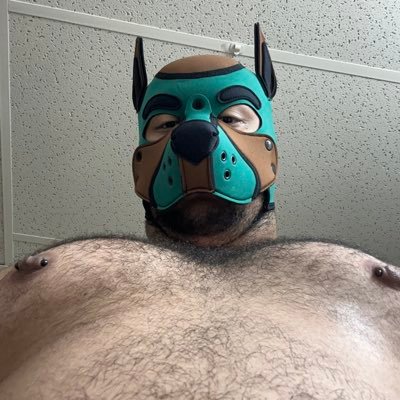 Elk (Stinky Mutt)'s profile picture