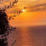 renas_alkurdi 955's profile picture