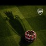 chefdechamboafc 的头像