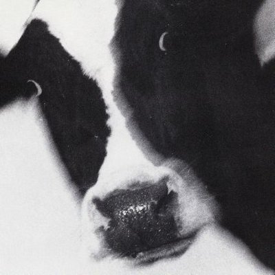okis's profile picture
