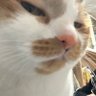 ²⁶phFar. ||| (39)'s profile picture