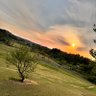 🪼🪼 profil fotoğrafı
