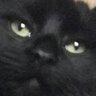 Yagmur's profile picture