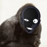フッシーユングバナソザ's profile picture