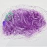 Фото профиля deployedmind 🧬