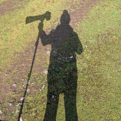 David Jackson's profile picture