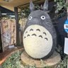 みょんじん profil fotoğrafı