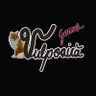 Vulpoaică Games's profile picture
