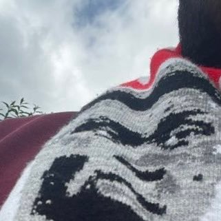 🕷️ 🇵🇸's profile picture