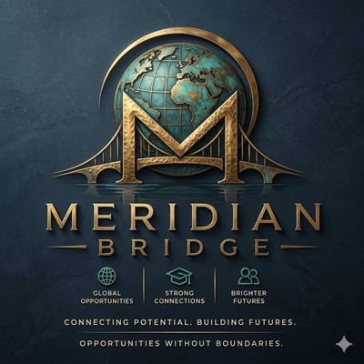 MeridianBridge's profile picture