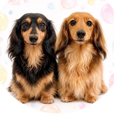 natsucoco0508's profile picture