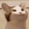 Profilbild von belucm_