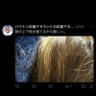 Фото профиля ホ