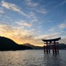 Фото профиля ポルカ