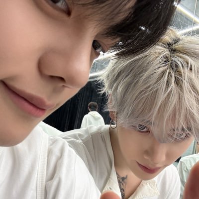 🪽's profile picture