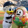 金沢に幕府を開きたい 的头像
