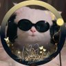 Bababoo profil fotoğrafı