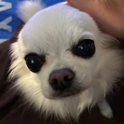 竹本英史's profile picture