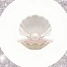 شَّ's profile picture