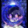 LO1127SK's profile picture