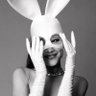 gln's profile picture