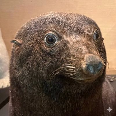 buriorz's profile picture