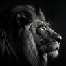 Thatiley's profile picture