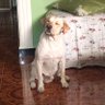 froster kare profil fotoğrafı