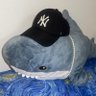 Profilbild von k. new york schlitty