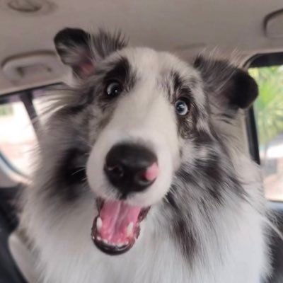 km ♡'s profile picture