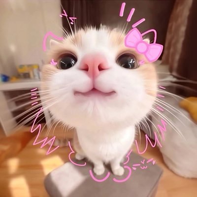 Kooceeng's profile picture